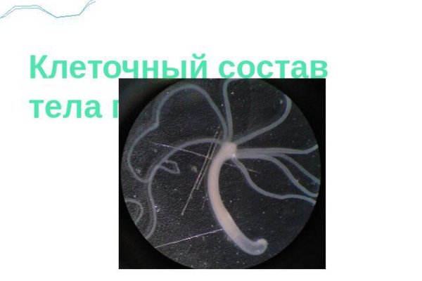 Ссылка на кракен даркнет