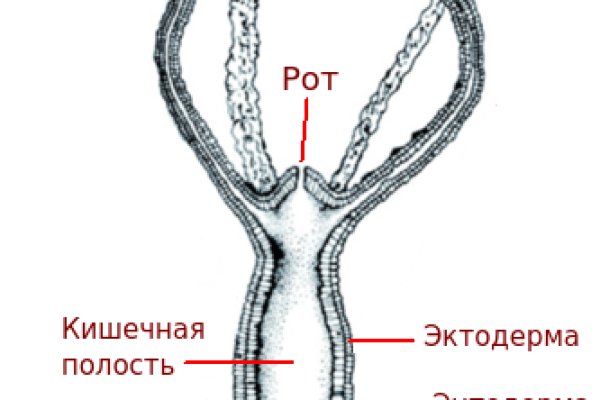 Ссылка на кракен тор kraken2 4aa337